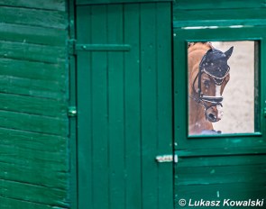 Pony power at the 2021 Preis der Besten in Warendorf :: Photo © Lukasz Kowalski