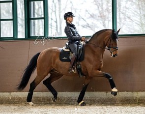 Eva Möller and Francis Drake at home in Syke, Germany :: Photo © Equigeniek