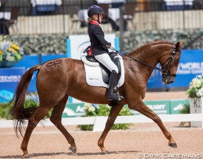 Erin Orford on Dior at the 2018 World Equestrian Games in Tryon :: Photo © Hippofoto