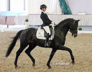 Moncler, under Eva Möller at the Munster Stallion Sport Test in April 2021 :: Photo © LL-foto