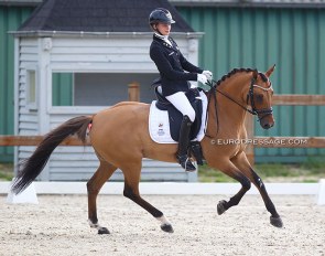 Emilie Herweyers and Don't Dream at last weekend's CDI Grote Brogel :: Photo © Astrid Appels