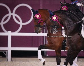 U.S. Tea Horses in the lap of honour for the team medal prize giving at the 2021 Olympic Games :: Photo © Astrid Appels