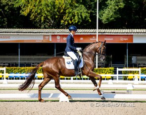 Kirsten Brouwer and My Precious in the 2021 Pavo Cup semi-finals in Ermelo :: Photo © Digishots