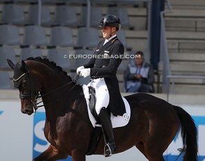 Frederic Wandres and PSI Auction horse Bluetooth OLD at the 2021 CDI Aachen :: Photo © Astrid Appels