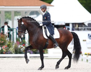 Duarte Nogueira on Beirao at the 2021 CDIO Compiegne :: Photo © Astrid Appels
