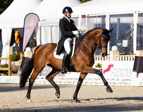 Hubertus Schmidt on Estelle on 2021 CDI Ludwigsburg :: Photo © Thomas Hellmann