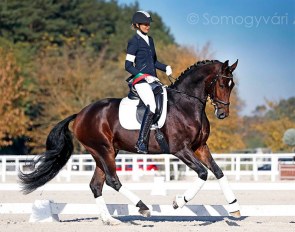 Emese Vagi and Felix at the 2021 Hungarian Young Horse Championships in Pilisjaszfalu, Hungary :: Photo © Anett Somogyvari