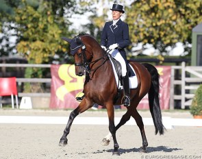 Stephanie Brieussel and Amorak at the 2019 CDI Waregem :: Photos © Astrid Appels