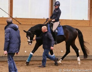 Stefan Stammer making his own kilometers trotting next to the horses he evaluated and treated in "The Nature in Training" seminar in Ehlershausen on 5 - 7 November 2021 :: Photo © Silke Rottermann