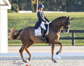 Jessica Howington and Cavalia at the 2021 CDI-W Ocala :: Photo © Sue Stickle