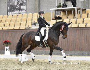 Danish junior rider Johanne Kofod Jensen on Frida :: Photo © Ridehesten
