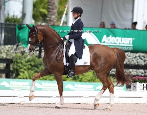 Carrie Schopf and Saumur at the 2022 CDI Wellington :: Photo © Astrid Appels