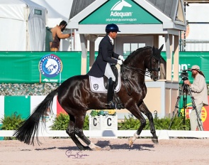 Christoph Koschel on Dünensee at the 2022 CDI Wellington - Week 11 :: Photo © Sue Stickle
