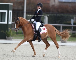 Selma Ludvigsen and Egelykkes Perfetto at the 2022 CDI Opglabbeek :: Photo © Astrid Appels