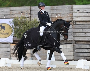 Georgina Kraft and Daily Challenge win two out of three at the 2022 CDI Sint-Truiden :: Photo © Astrid Appels