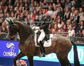 Gareth Hughes on the Swiss owned KK Woodstock at the 2019 CDI-W London :: Photo © Astrid Appels