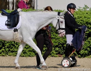 Nautika struts her stuff even after her (winning) ride at the 2022 CPEDI Mannheim. The little Lipizzan mare impresses with her exceptional walk and attitude.