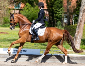 German based Czech rider Libuse Mencke on Bavalou :: Photo © Thomas Hellmann 