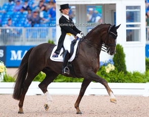 Kristy Oatley and Du Soleil at the 2018 World Equestrian Games :: Photo © Astrid Appels