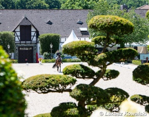 International dressage sport at Gestut Schafhof in Kronberg :: Photo © Lukasz Kowalski