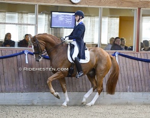 Kristian Wurtz Green and Blue Hors Zepter at the 2022 CDN Solrod :: Photo © Ridehesten
