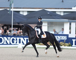 Kjento at the 2022 World Championships for Young Dressage Horses :: Photo © Astrid Appels