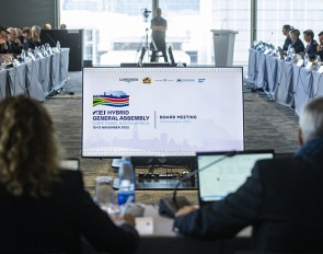 The 2022 FEI General Assembly in Cape Town, South Africa