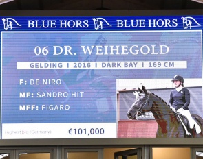 Dr. Weihegold was the best seller of the 2022 Blue Hors Autumn Auction