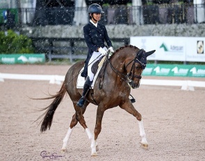 Ellesse Gundersen competing Quintessential in the rain at the 2022 Global Dressage Festival in Wellington :: Photo © Sue Stickle
