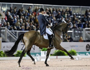 Frederic Wandres and Bluetooth at the 2023 CDI Wellington :: Photo © Sue Stickle