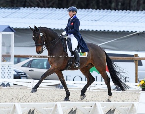 Judy Harvey and Fitzcerraldo at the 2013 CDI Vidauban :: Photo © Astrid Appels