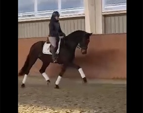 Screen shot of Dufour trying out HP Viard for the first time