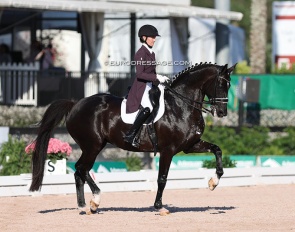 Alice Tarjan and Candescent finding their stride at the 2023 CDIO Wellington :: Photo © Astrid Appels
