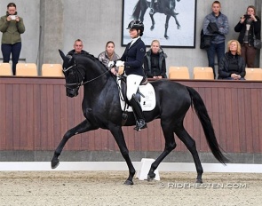 Susanne Barnow and ERA Dancing Memory at the 2022 Danish Young Horse Championships :: Photo © Ridehesten