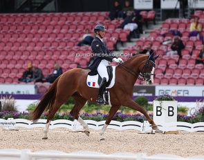 Antoine Nowakowski and Quater Girl at the 2022 World Championships in Herning :: Photo © Astrid Appels