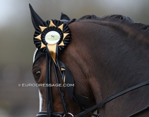 Charlotte Macken's Bentley with the CDI Sint-Truiden ribbon :: Photo © Astrid Appels