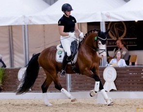 Evelyn Eger test riding Glenhill Mr. Hollywood in the Champion of Champions round at the 2023 Australian Young Pony Championships :: Photos © Equisoul Photography