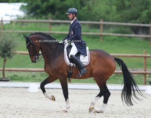 Sacha Schulz and Dayman at the 2022 CDI Troisdorf :: Photo © Astrid Appels