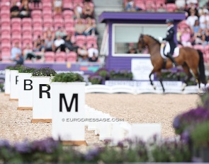 Dressage arena for competition :: Photo © Astrid Appels