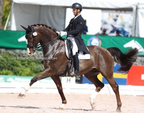 Aaron Janicki and Heron at the 2022 CDI Wellington :: Photo © Astrid Appels