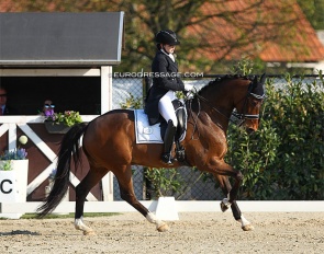 Hanna Rosendal on Beau-Amor at the 2019 CDI Sint-Truiden :: Photo © Astrid Appels