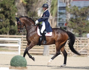 Leon Aschauer on Formidable at the 2021 European Junior Riders Championships in Oliva Nova :: Photo © Astrid Appels