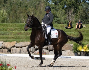 Liz Steacie with Bellaryn at the 2022 CDI Bromont International :: Photo © Tom von Kapherr