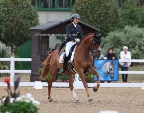 Giovanni Torrens Bentz on Euro Boy at the 2022 European Junior/Young Riders Championships in Hartpury (GBR) :: Photo © Astrid Appels
