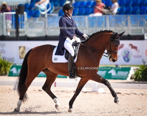 Justin Ridgewell and Jolene at the 2022 Palm Beach Dressage Derby CDI :: Photo © Astrid Appels
