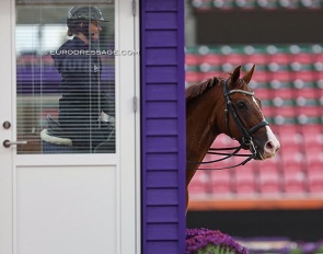Windermere J'Obei at the 2022 World Championships in Herning (DEN) :: Photo © Astrid Appels