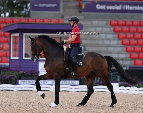 Benjamin Werndl schooling Famoso at the 2022 World Championships in Herning :: Photo © Astrid Appels