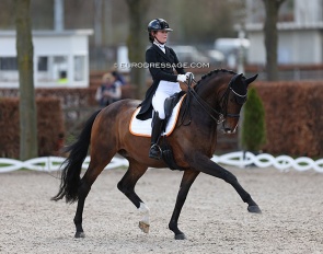 Yasmin Westerink and Dibert L at the 2023 Aachen Festival 4 Dressage :: Photo © Astrid Appels
