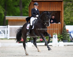 Claudia Davis and Fergus RT at the 2023 CDIO Compiegne :: Photo © Astrid Appels