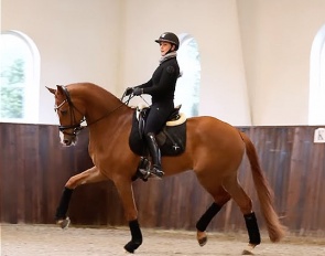 Cathrine Dufour schooling Nox at home in Denmark 